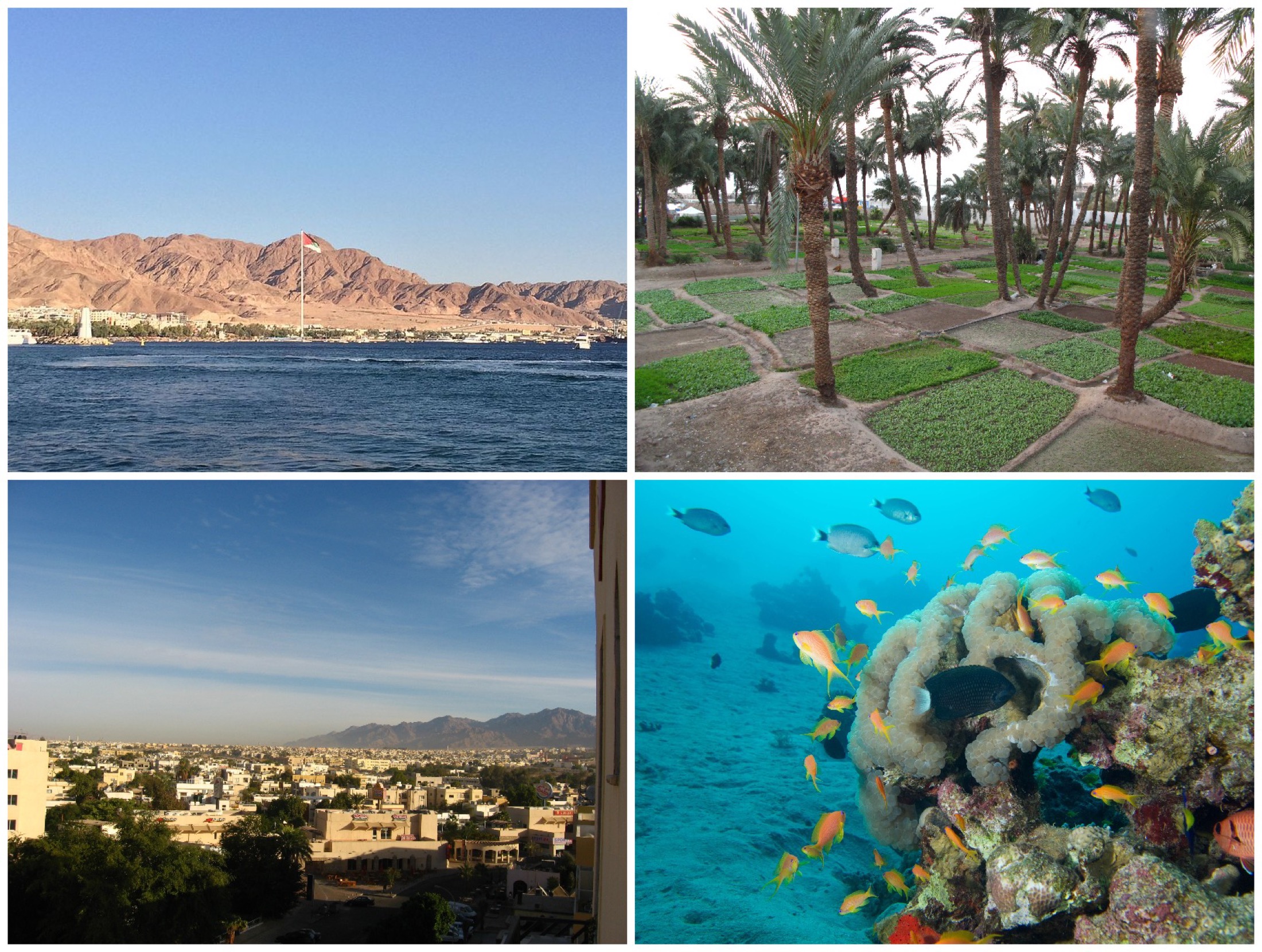 Aqaba